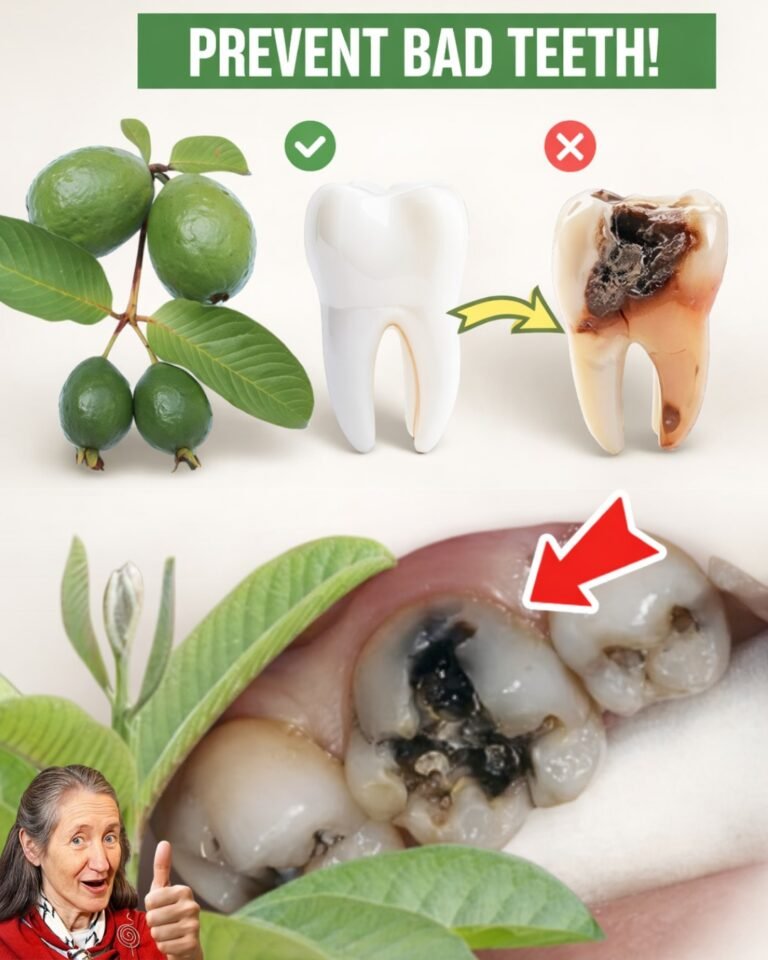 Top 3 Simple Ways to Use Guava Leaves for Managing Tooth Decay Discomfort
